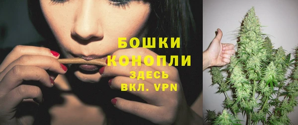 бошки Горнозаводск