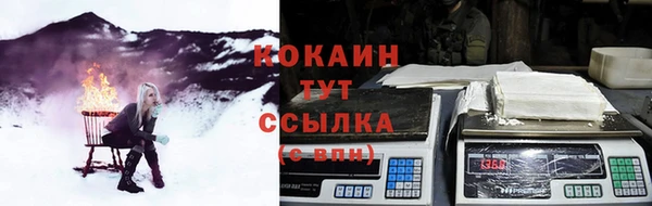 соль ск Горно-Алтайск