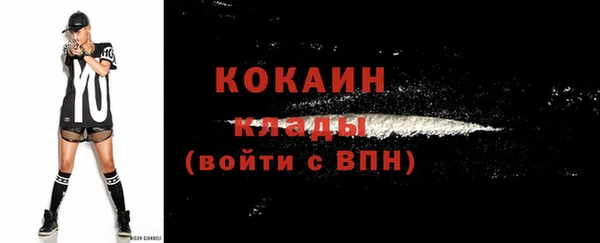 соль ск Горно-Алтайск