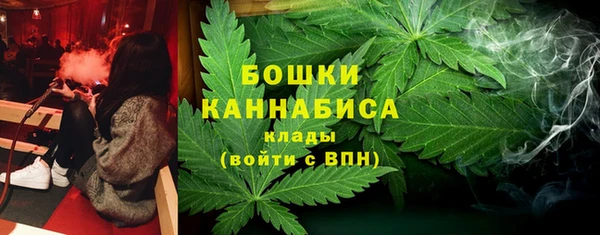 бошки Горняк