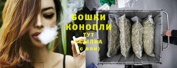 бошки Горнозаводск